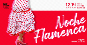A Pécsi Flamenco Egyesület estje Plakat uveliko 